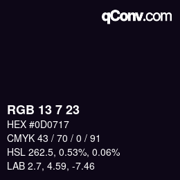 カラーコード: RGB 13 7 23 | qconv.com
