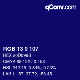 Color code: RGB 13 9 107 | qconv.com