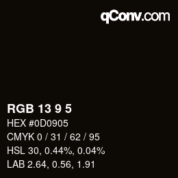 Color code: RGB 13 9 5 | qconv.com