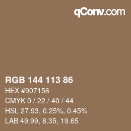 Color code: RGB 144 113 86 | qconv.com