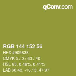 Color code: RGB 144 152 56 | qconv.com