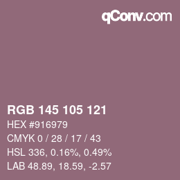 Code couleur: RGB 145 105 121 | qconv.com
