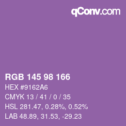 Color code: RGB 145 98 166 | qconv.com