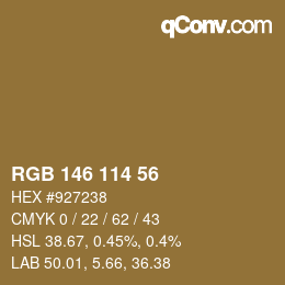 Farbcode: RGB 146 114 56 | qconv.com