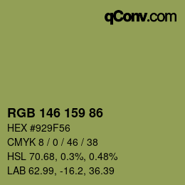 Color code: RGB 146 159 86 | qconv.com