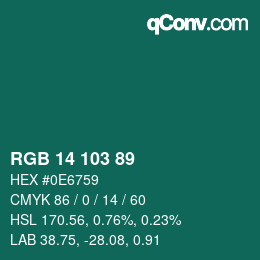 カラーコード: RGB 14 103 89 | qconv.com