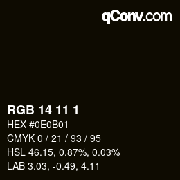 Color code: RGB 14 11 1 | qconv.com