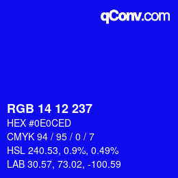 Color code: RGB 14 12 237 | qconv.com
