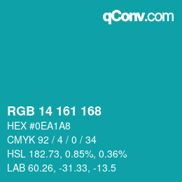 Color code: RGB 14 161 168 | qconv.com