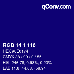 Color code: RGB 14 1 116 | qconv.com