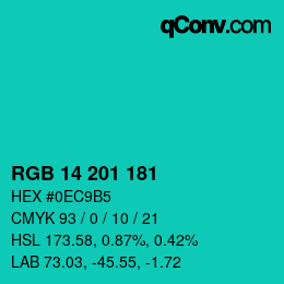 Color code: RGB 14 201 181 | qconv.com
