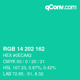 Color code: RGB 14 202 162 | qconv.com