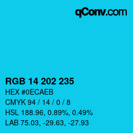 カラーコード: RGB 14 202 235 | qconv.com