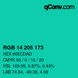 Color code: RGB 14 205 173 | qconv.com