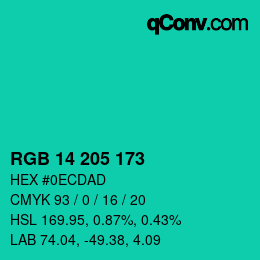 Color code: RGB 14 205 173 | qconv.com