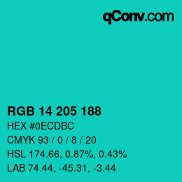 Color code: RGB 14 205 188 | qconv.com