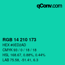Color code: RGB 14 210 173 | qconv.com