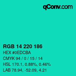 カラーコード: RGB 14 220 186 | qconv.com