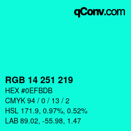 Color code: RGB 14 251 219 | qconv.com