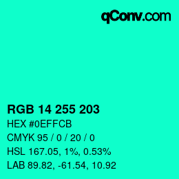 Color code: RGB 14 255 203 | qconv.com