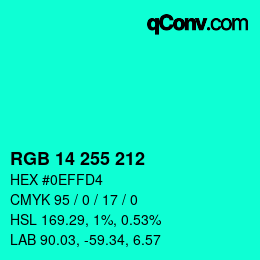Color code: RGB 14 255 212 | qconv.com