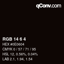 カラーコード: RGB 14 6 4 | qconv.com