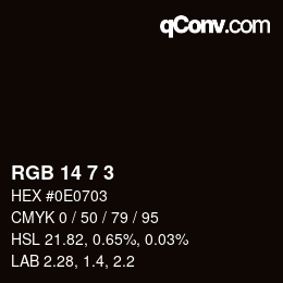 Color code: RGB 14 7 3 | qconv.com