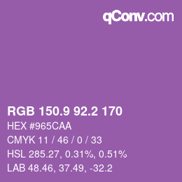 カラーコード: RGB 150.9 92.2 170 | qconv.com