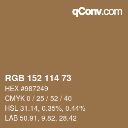 颜色代码: RGB 152 114 73 | qconv.com