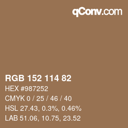 Color code: RGB 152 114 82 | qconv.com