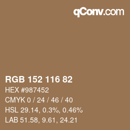 Color code: RGB 152 116 82 | qconv.com