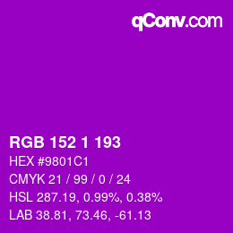 Color code: RGB 152 1 193 | qconv.com