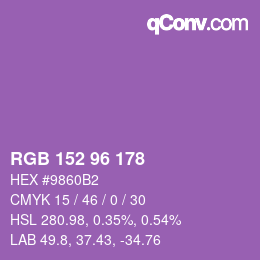 Color code: RGB 152 96 178 | qconv.com