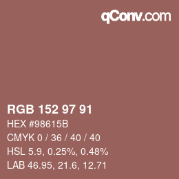 Color code: RGB 152 97 91 | qconv.com