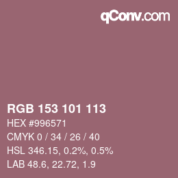 Código de color: RGB 153 101 113 | qconv.com