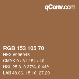 Color code: RGB 153 105 70 | qconv.com