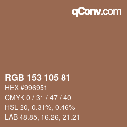 Color code: RGB 153 105 81 | qconv.com