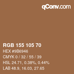 Farbcode: RGB 155 105 70 | qconv.com