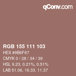 Color code: RGB 155 111 103 | qconv.com