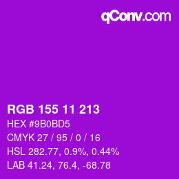 Color code: RGB 155 11 213 | qconv.com