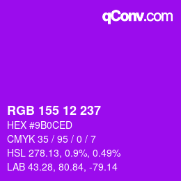 Color code: RGB 155 12 237 | qconv.com