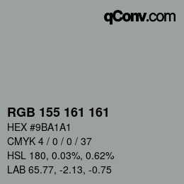 颜色代码: RGB 155 161 161 | qconv.com