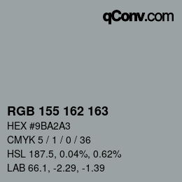 Color code: RGB 155 162 163 | qconv.com