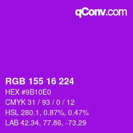 Color code: RGB 155 16 224 | qconv.com