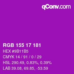 カラーコード: RGB 155 17 181 | qconv.com