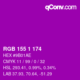 カラーコード: RGB 155 1 174 | qconv.com