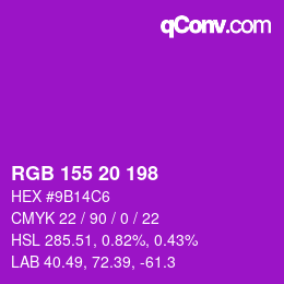 Color code: RGB 155 20 198 | qconv.com