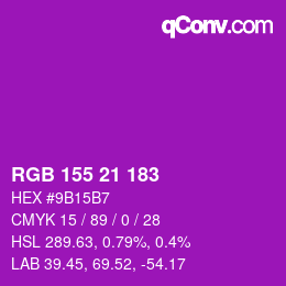 Color code: RGB 155 21 183 | qconv.com