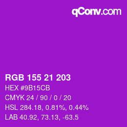 カラーコード: RGB 155 21 203 | qconv.com