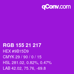 Color code: RGB 155 21 217 | qconv.com